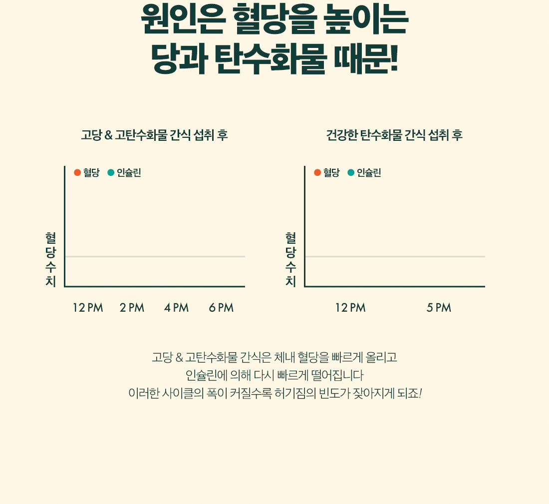 LIFEUTER 상세 디자인 11