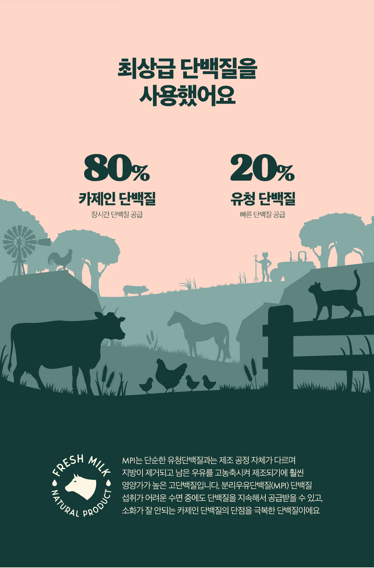 LIFEUTER 상세 디자인 7