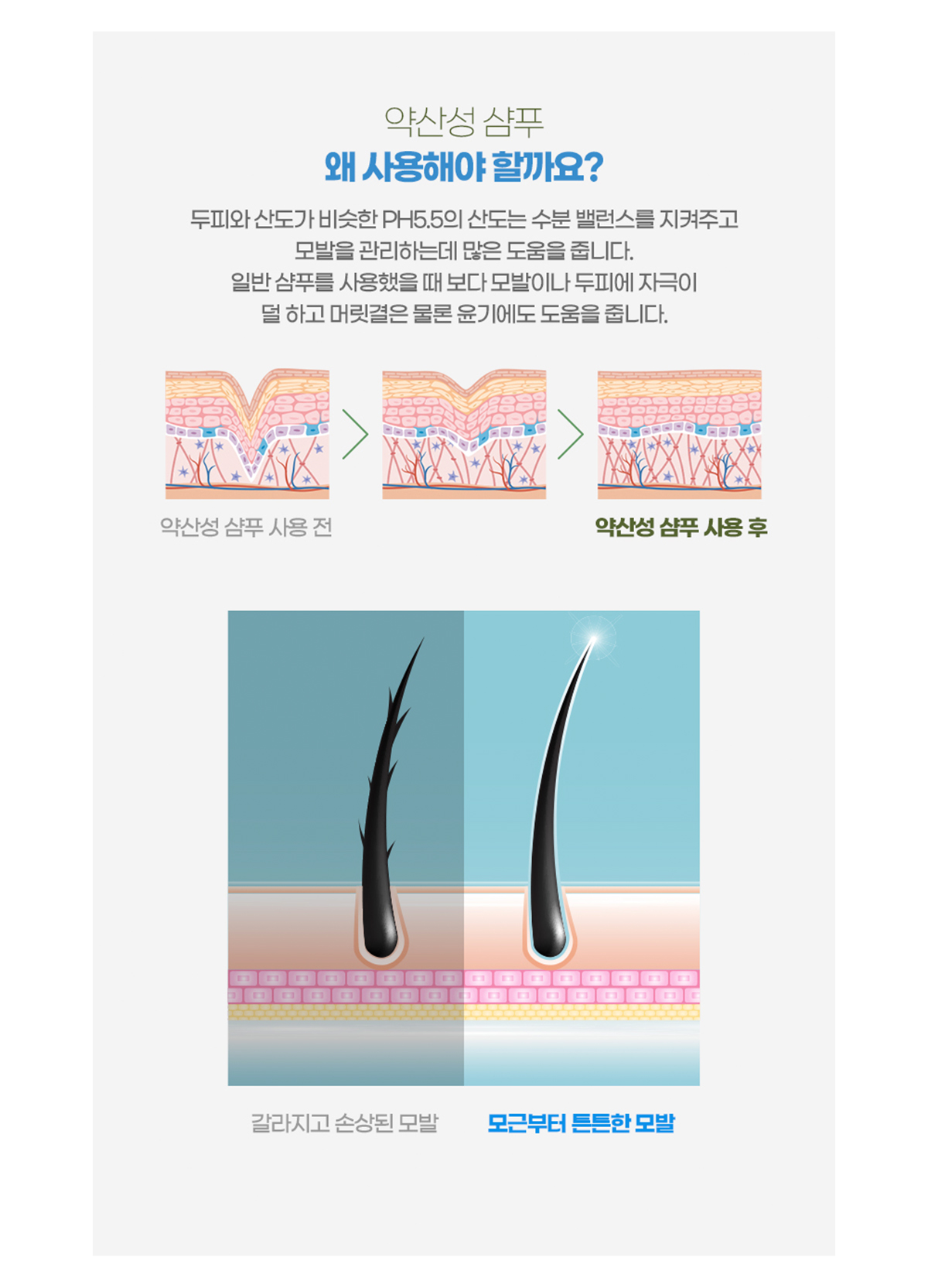 GENTLEPAPA 상세 디자인 6