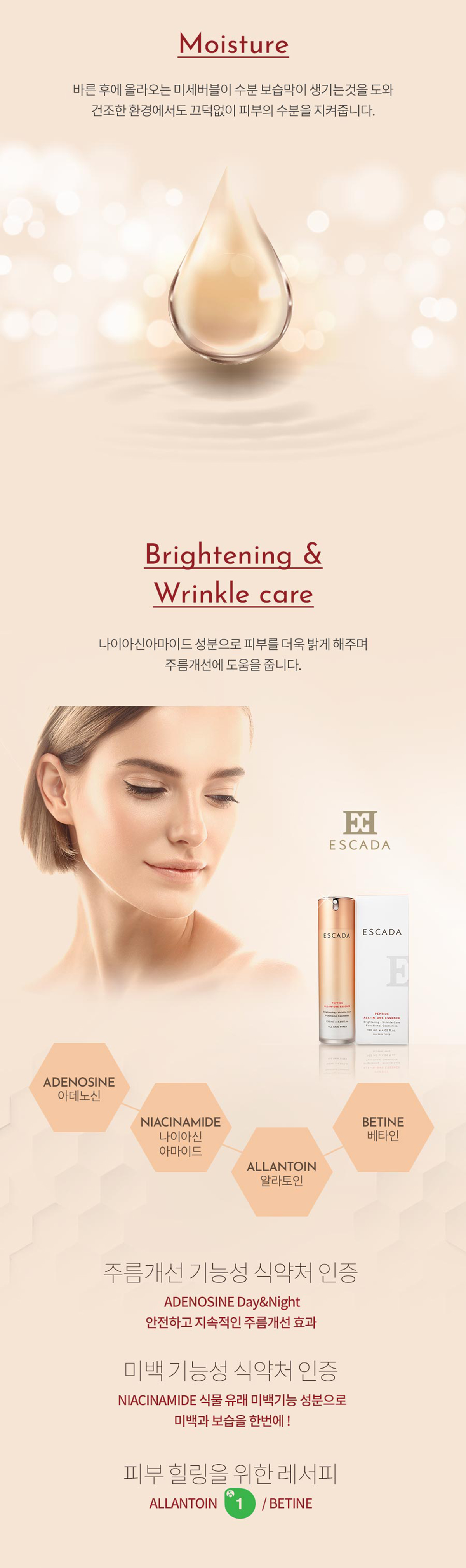 ESCADA 상세 디자인 5
