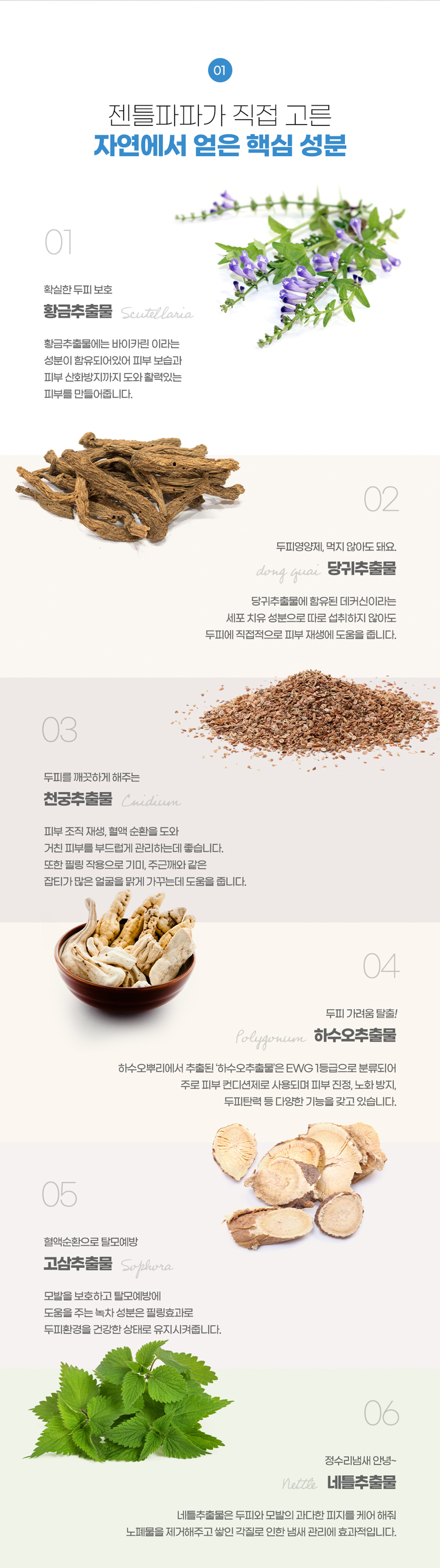 GENTLEPAPA 상세 디자인 3