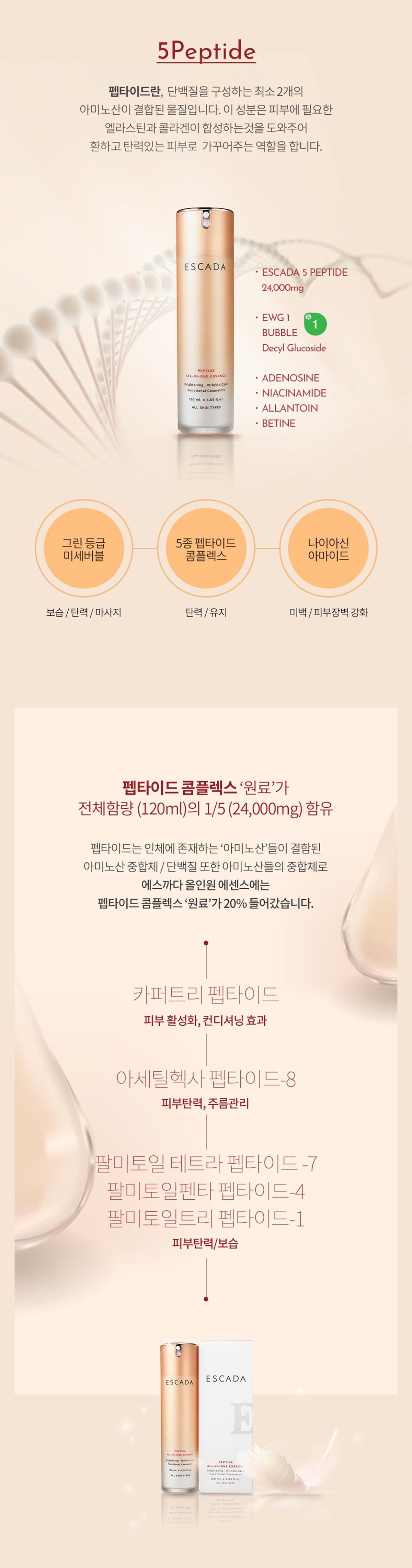 ESCADA 상세 디자인 4